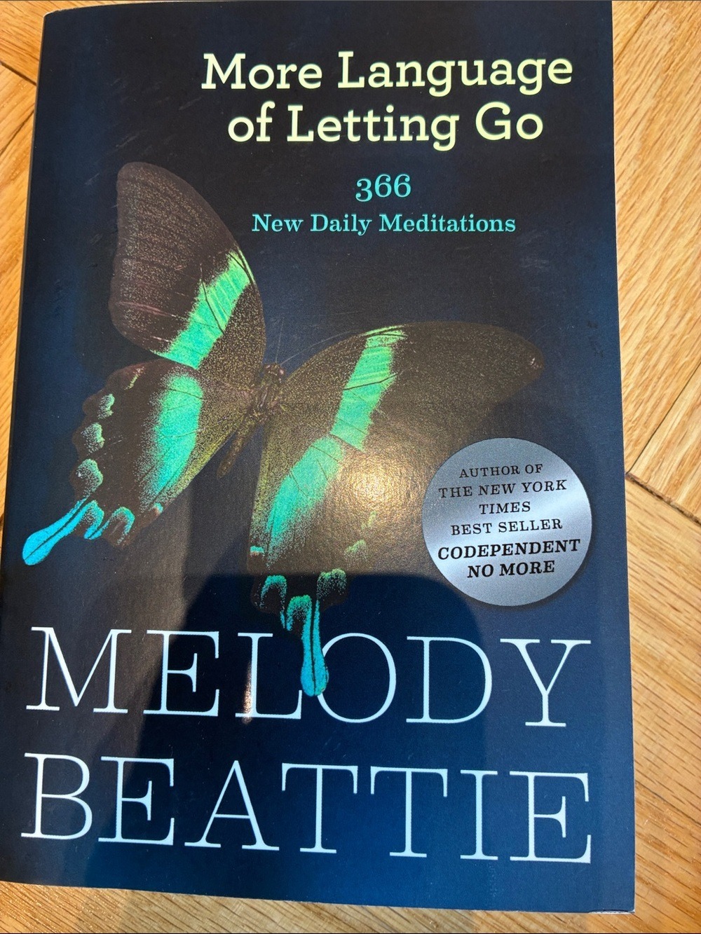 More Language of Letting Go Book